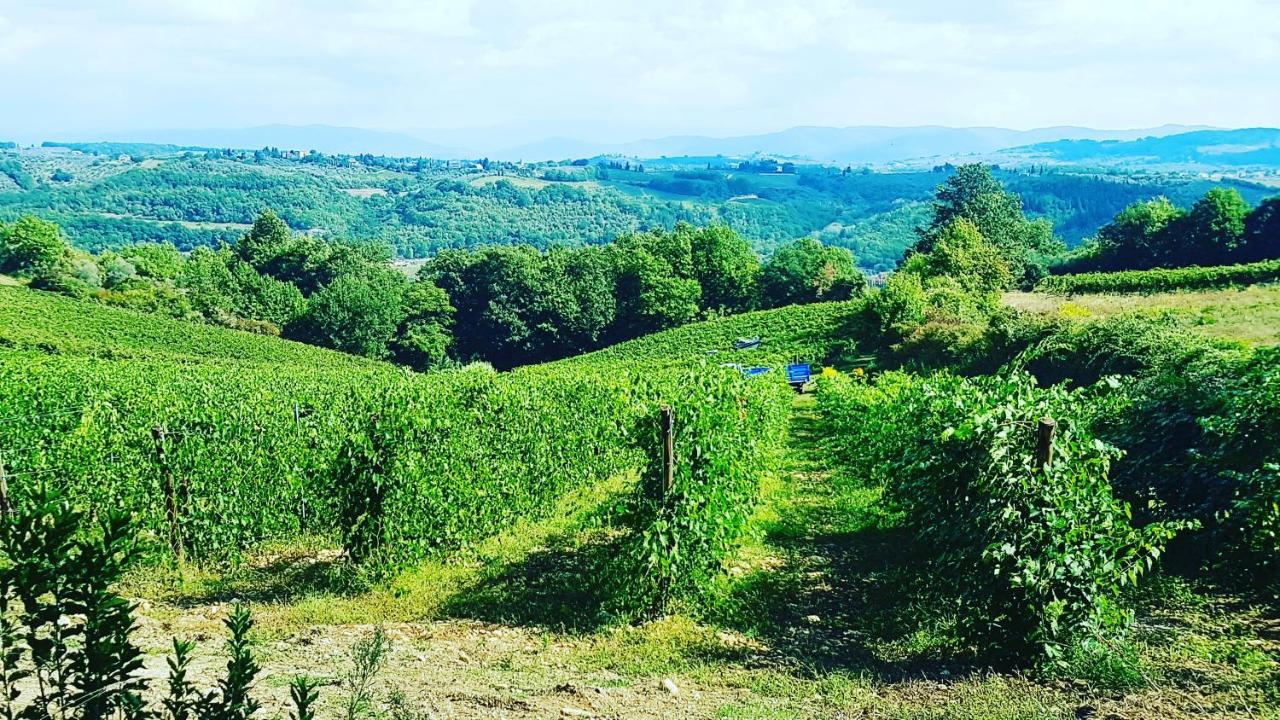 Agriturismo Sant'Ellero San Casciano in Val di Pesa Eksteriør bilde