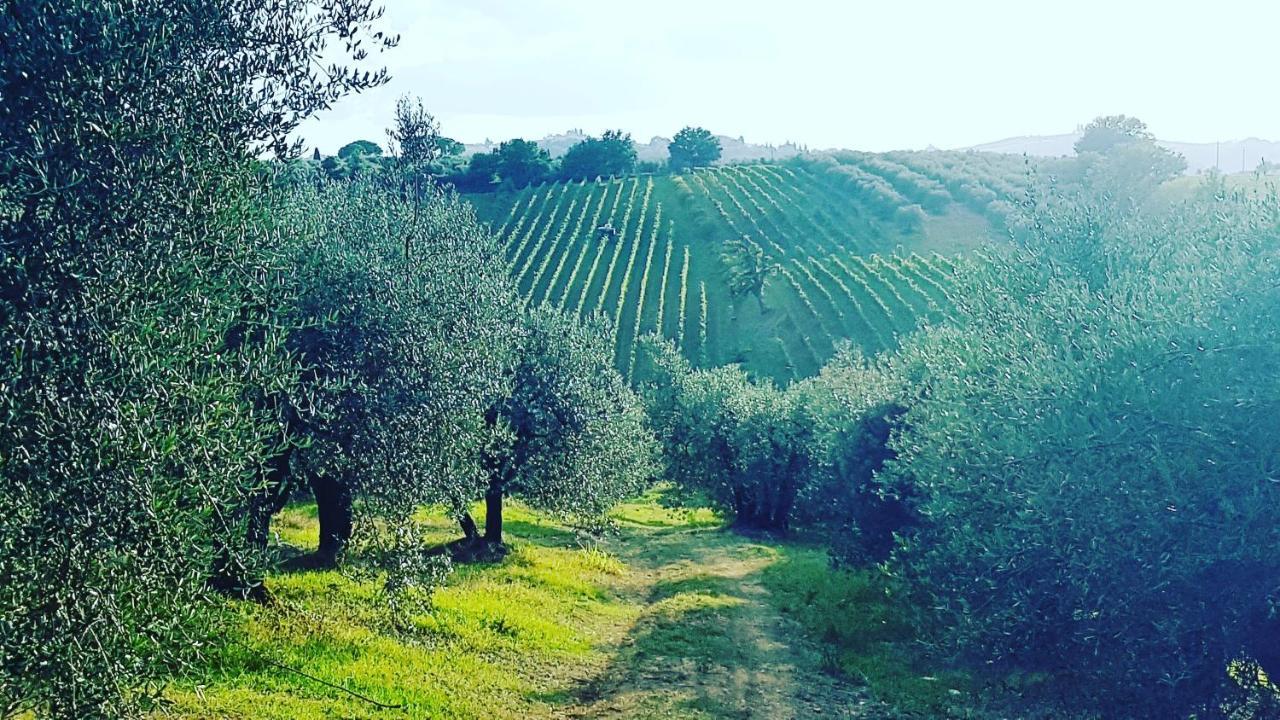 Agriturismo Sant'Ellero San Casciano in Val di Pesa Eksteriør bilde